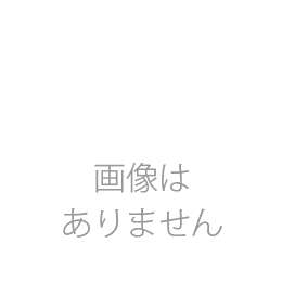 濾過槽　2槽式濾過槽セット　サイズW400XD300XH300　